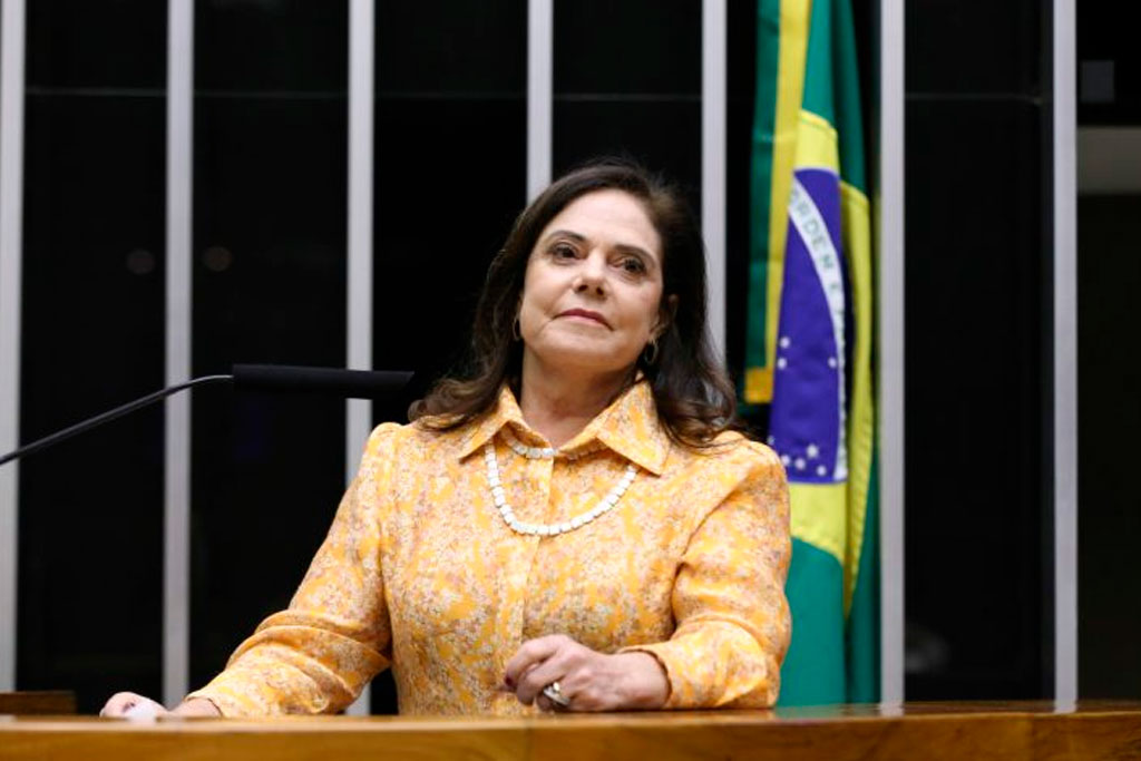 Retrato oficial da deputada federal Soraya Santos
